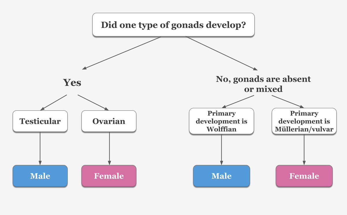 Supernova tweet media