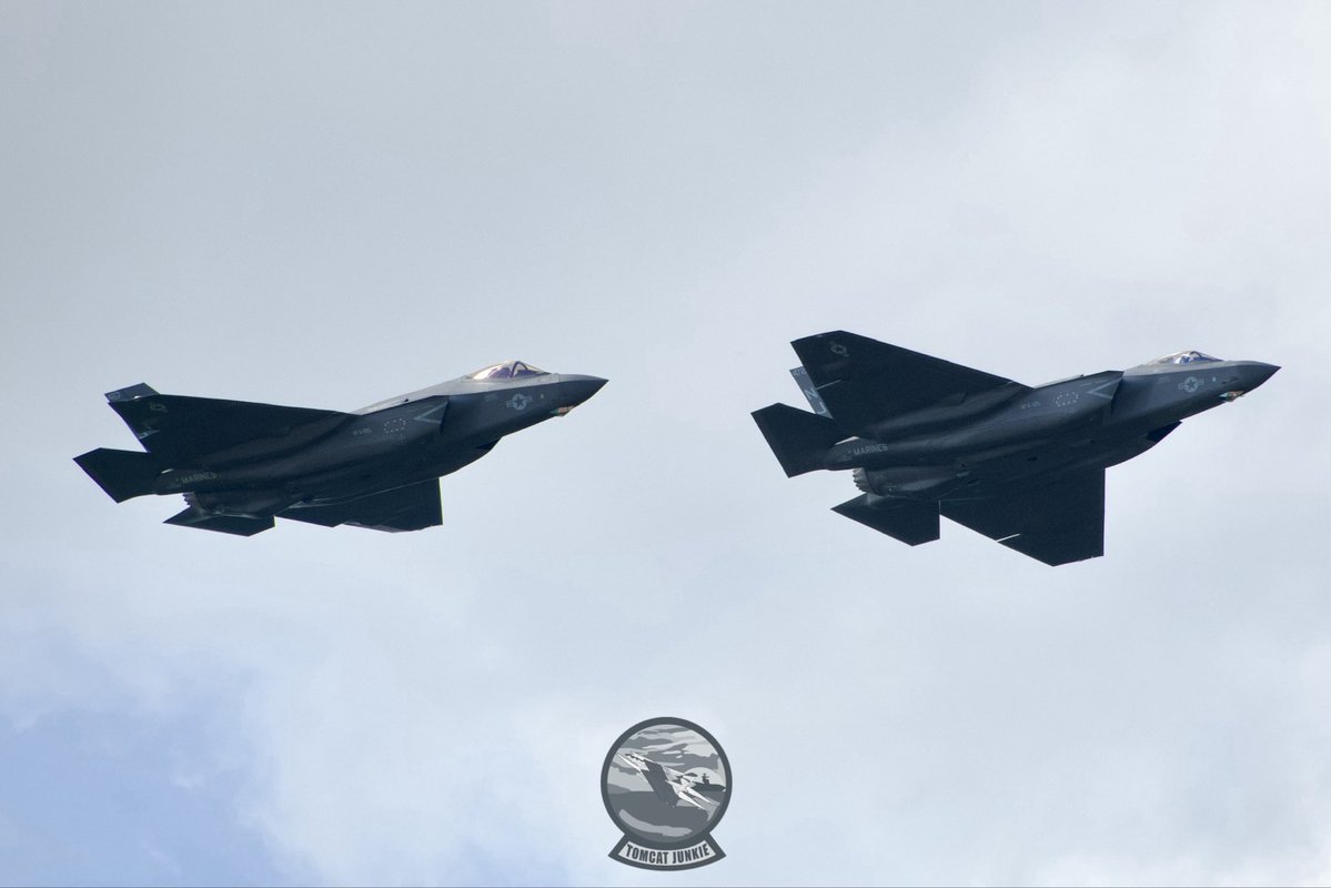 TomcatJunkie🏴‍☠️ tweet media