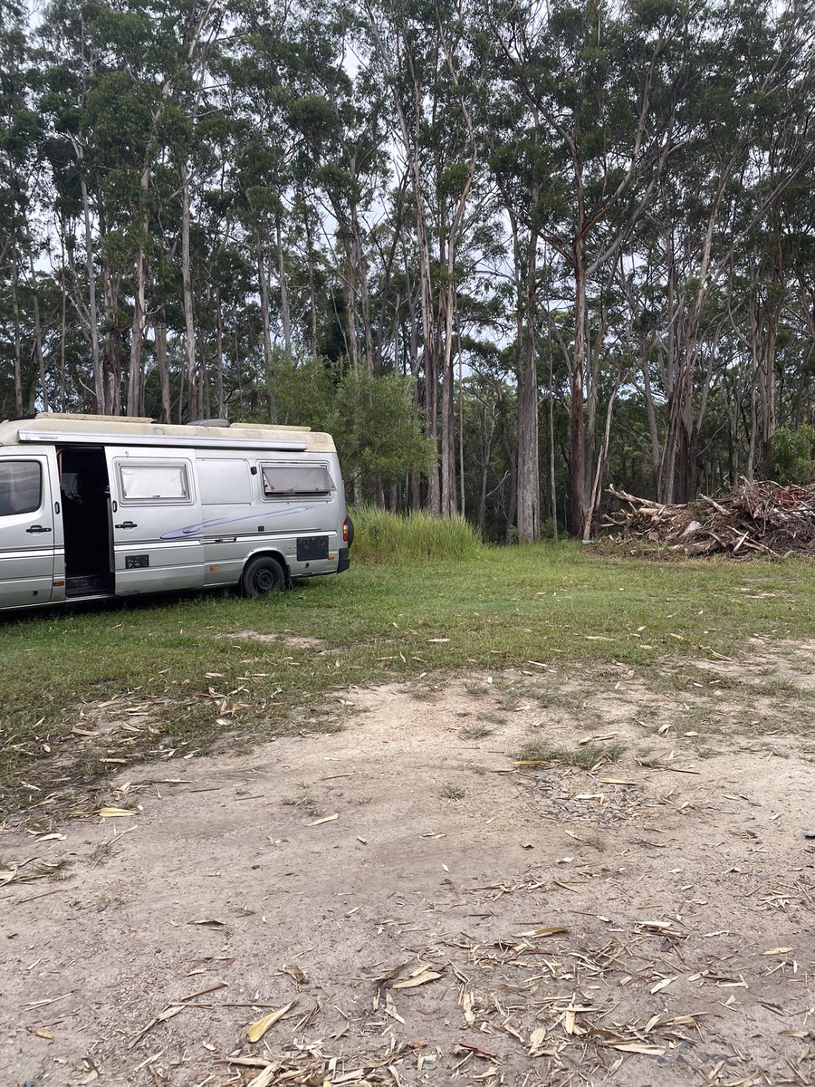 Runyonesque tweet media