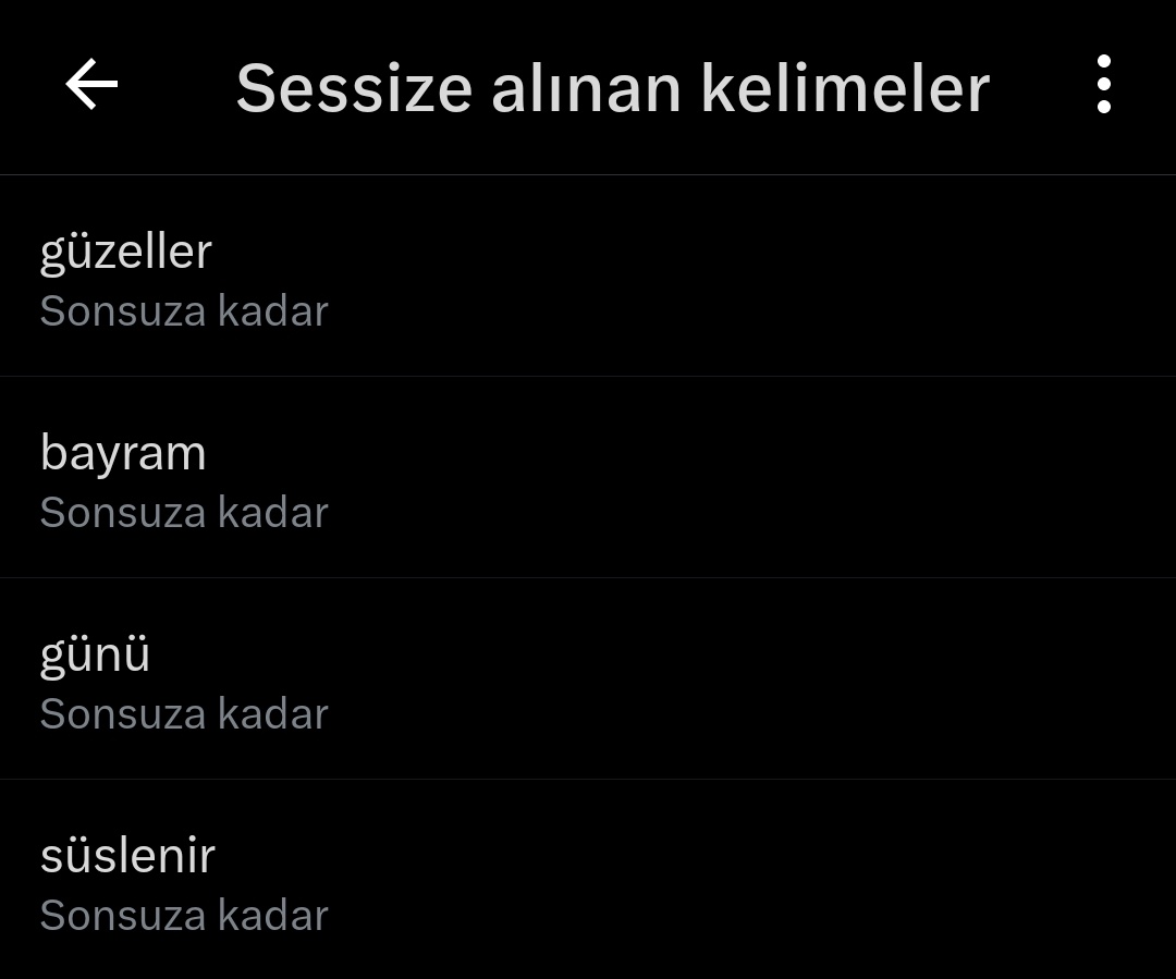 lebir lebir leblebi tweet media