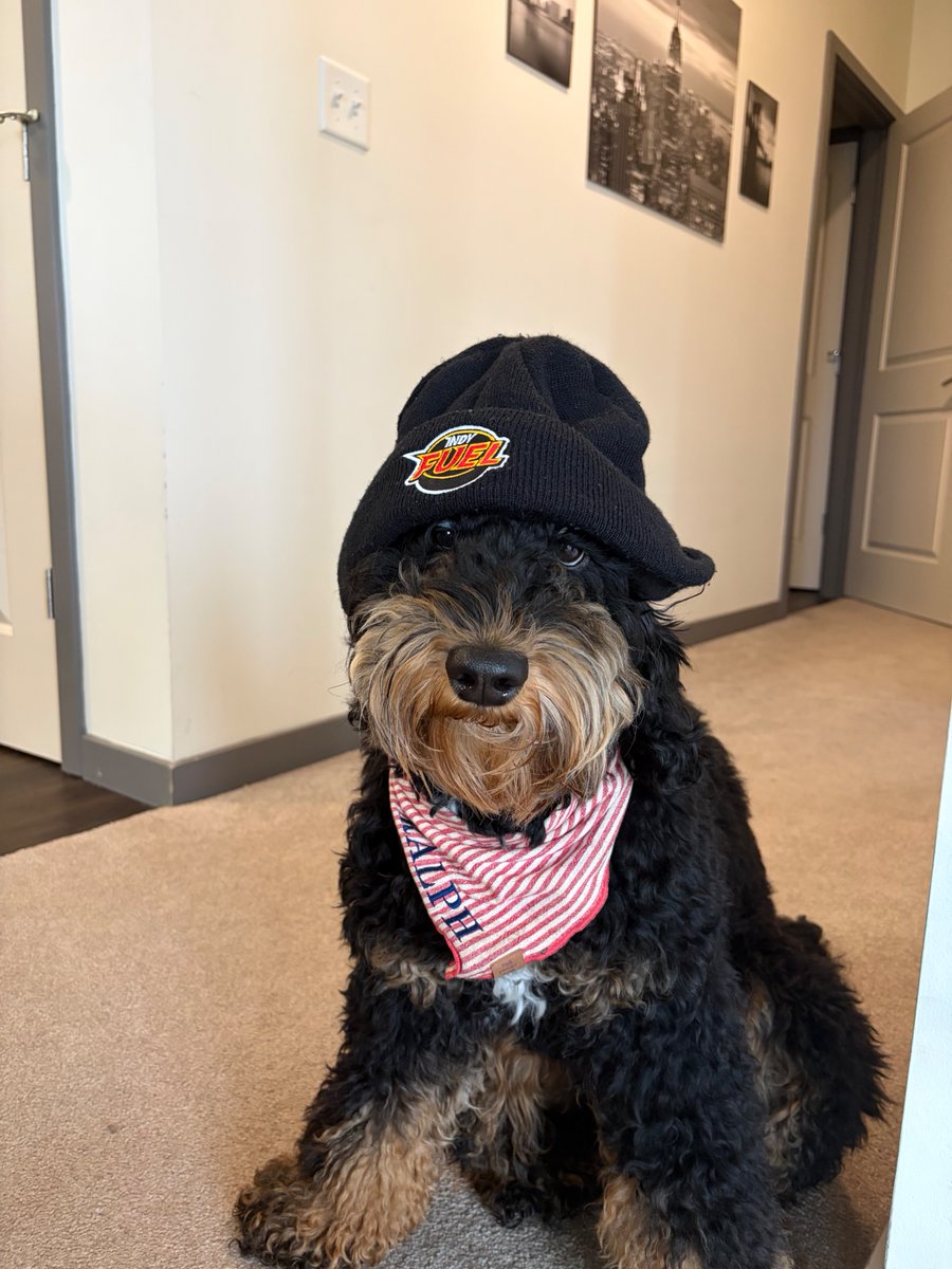 Indy Fuel tweet media