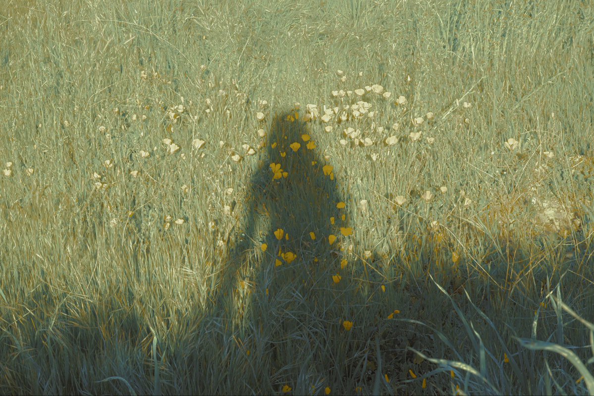 Summer Wagner tweet media