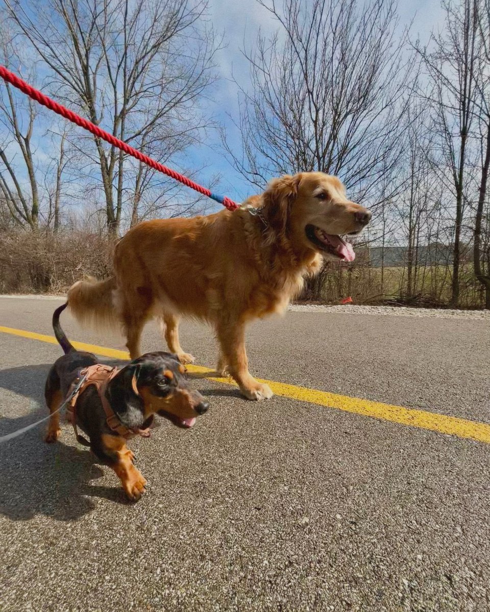 Indy Fuel tweet media