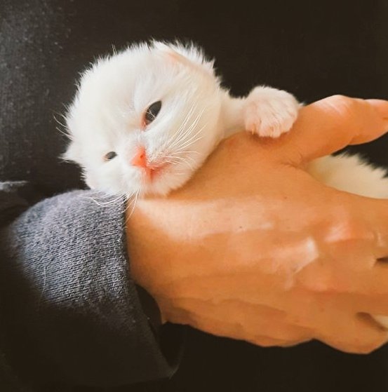 Vik 🌷 tweet media