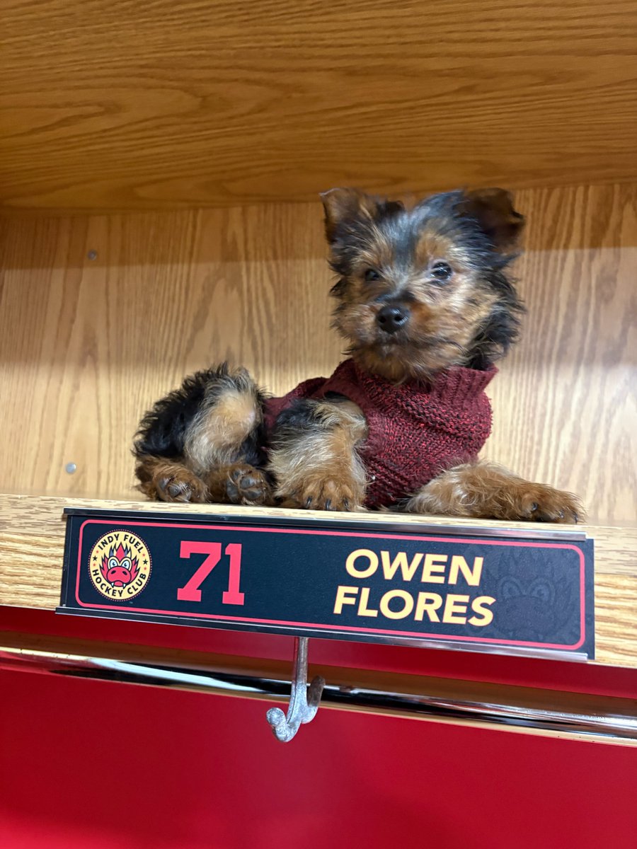 Indy Fuel tweet media