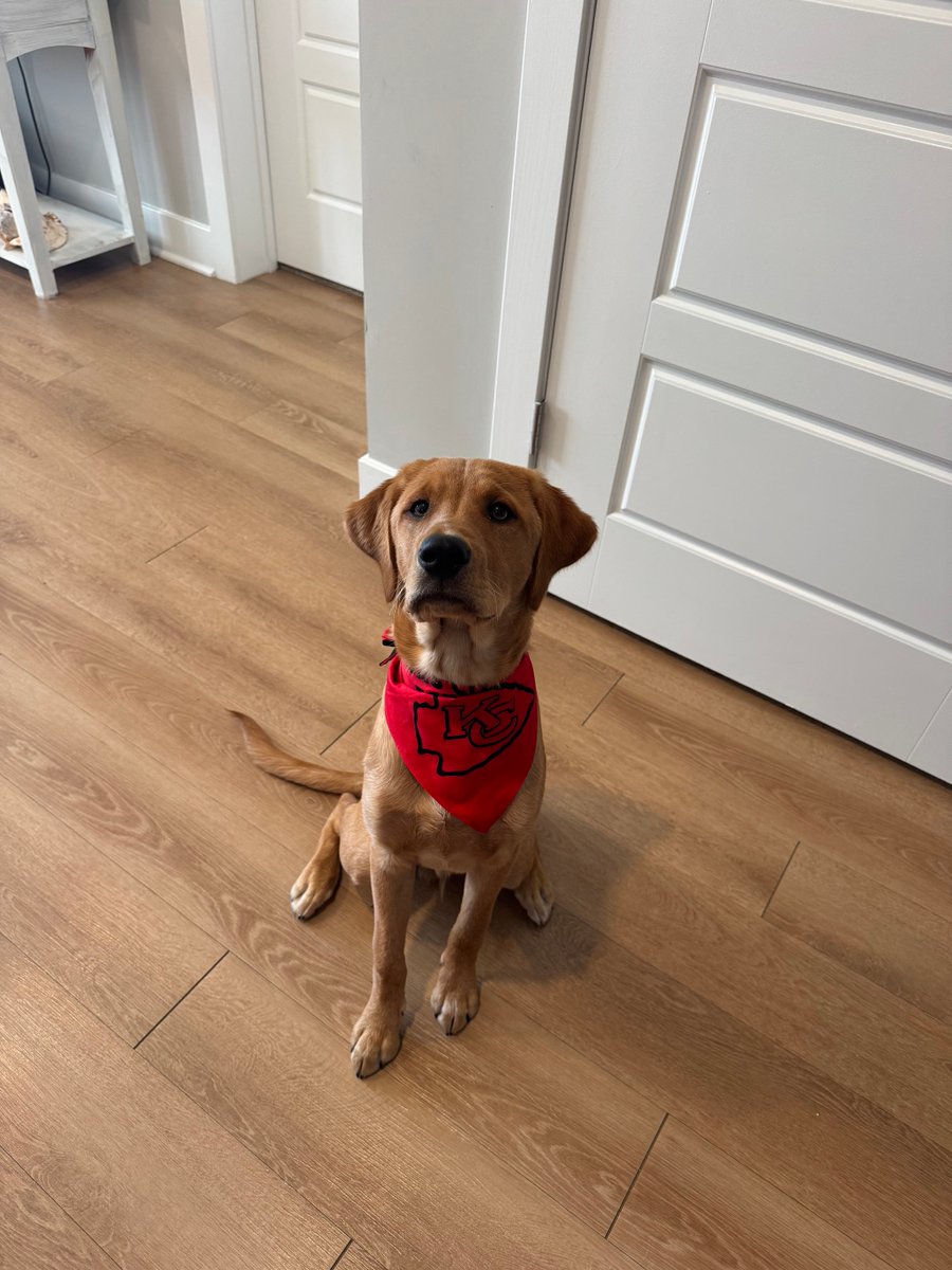 Indy Fuel tweet media