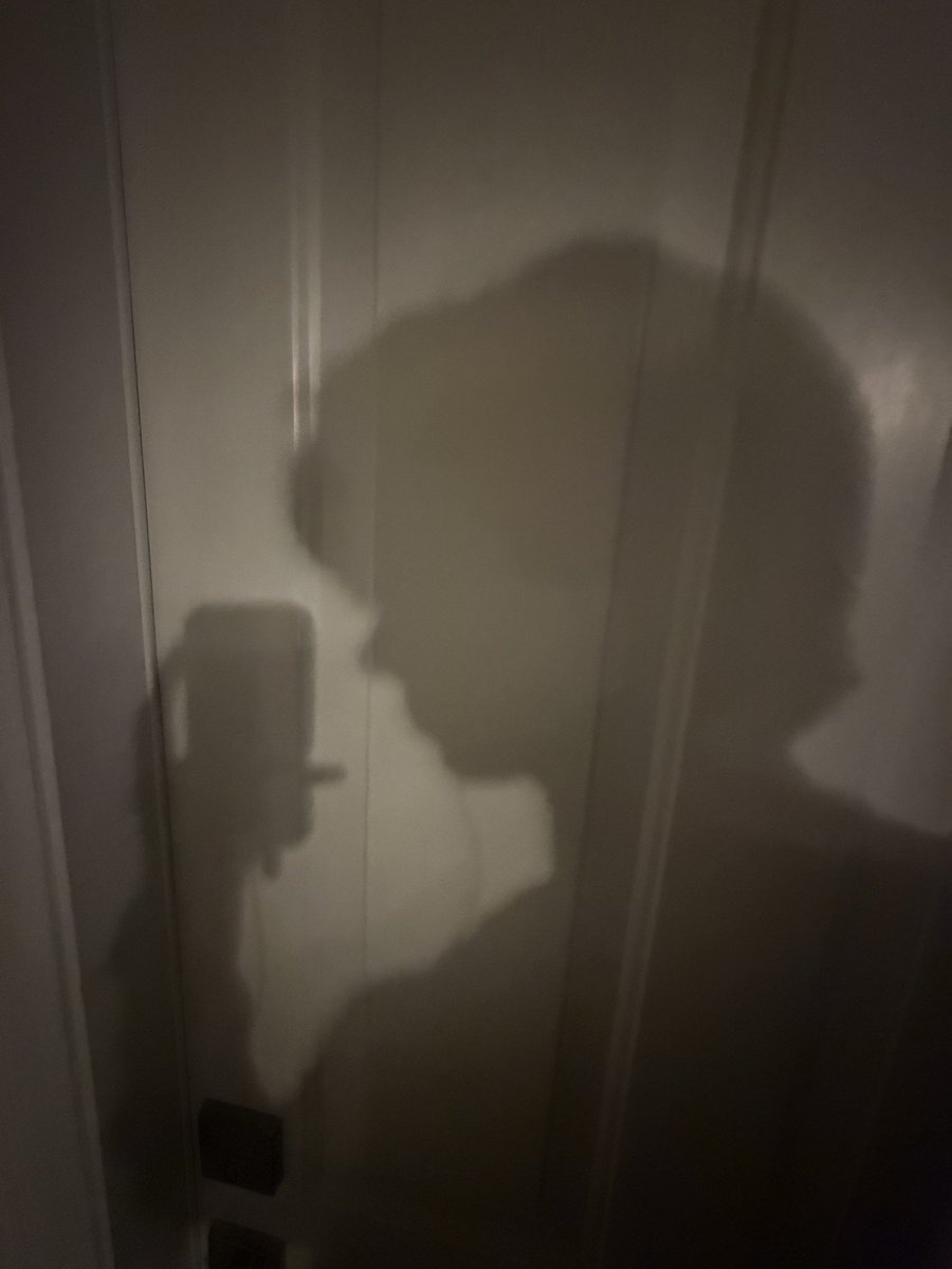 FloridaBoy☀️ tweet media