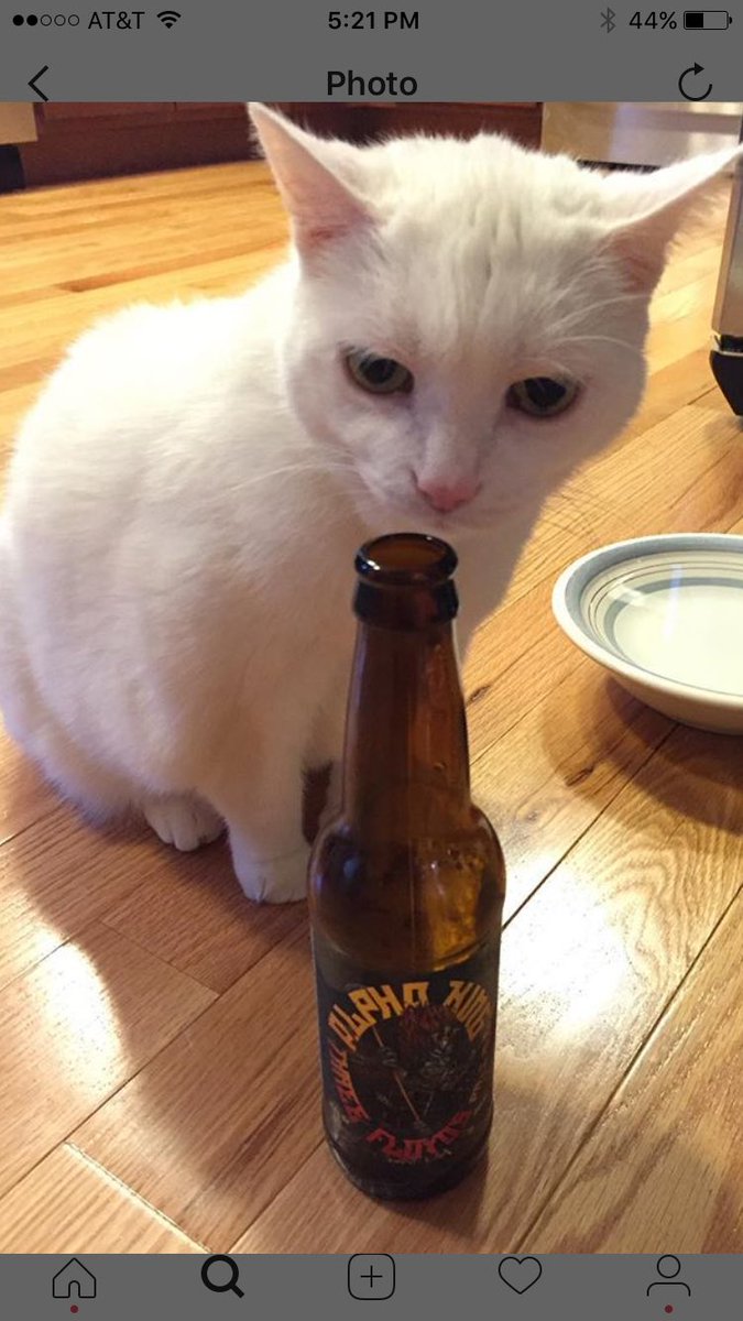 Mittens1970 tweet media