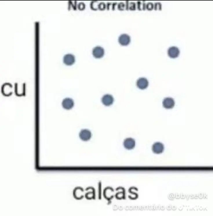 gata estudiosa ⋆˚꩜。 tweet media