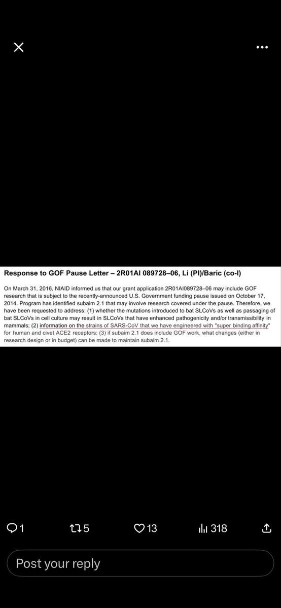 Kappa Fannon🌸 tweet media