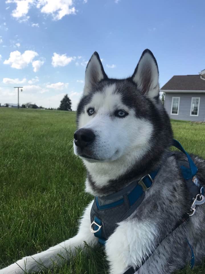 Jan Romes tweet media