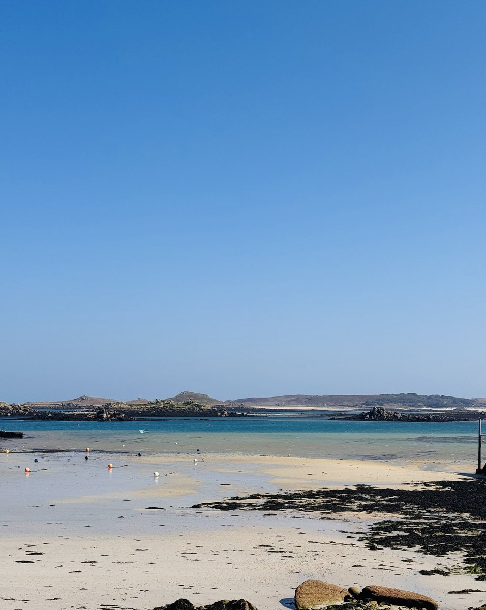 St Agnes Niki tweet media