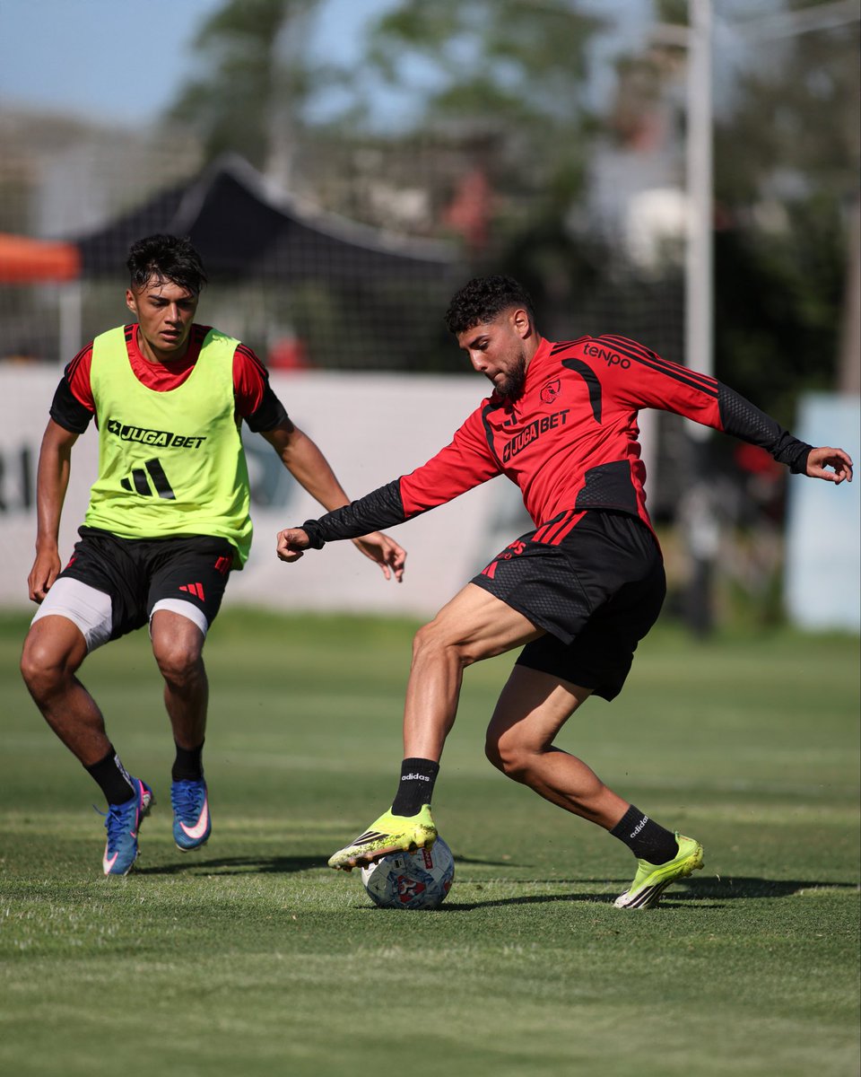 Colo-Colo tweet media