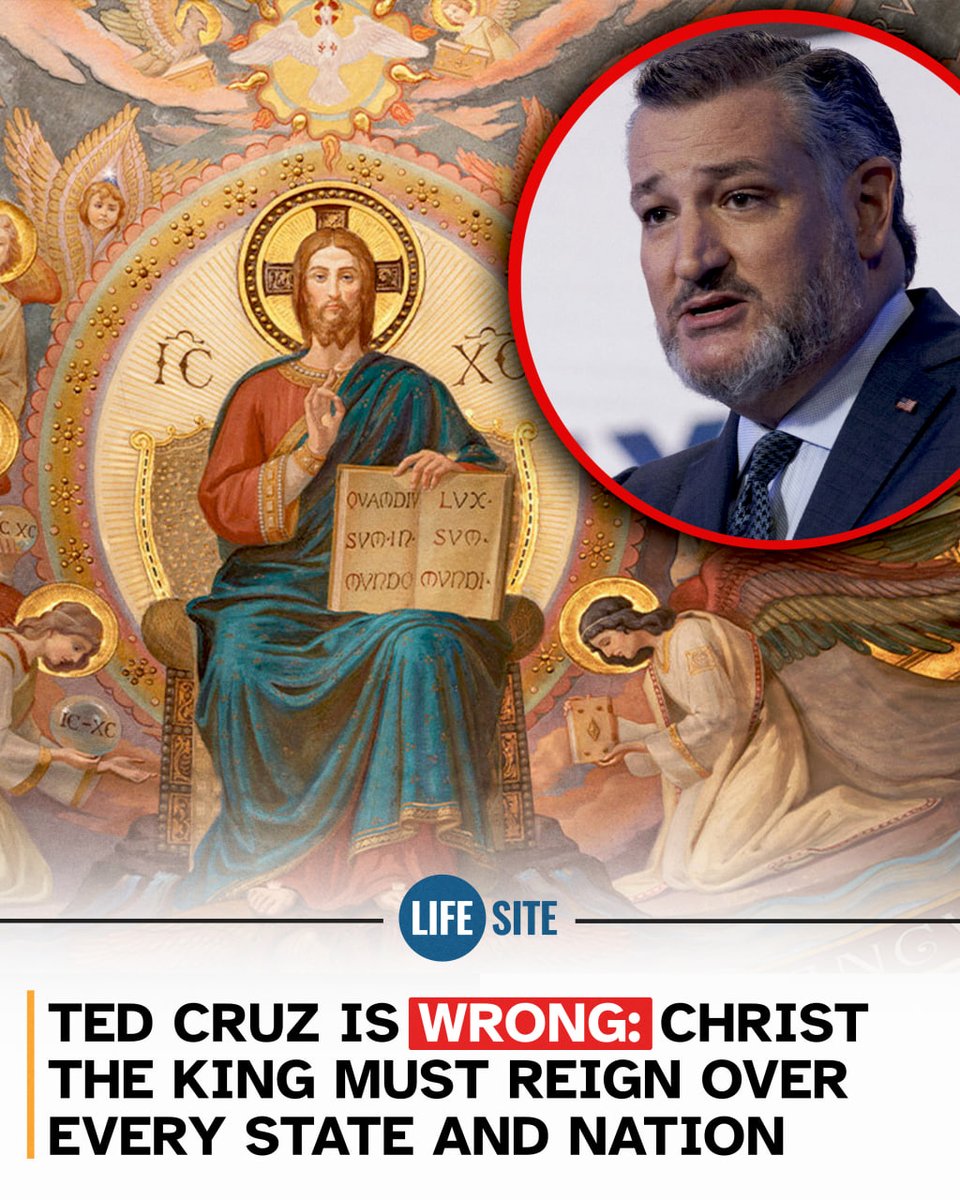 LifeSiteNews tweet media