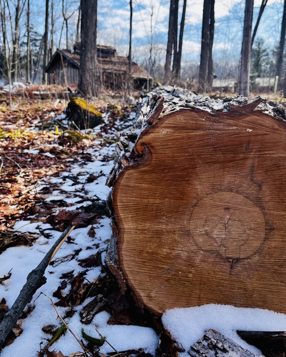 Conservation Halton tweet media