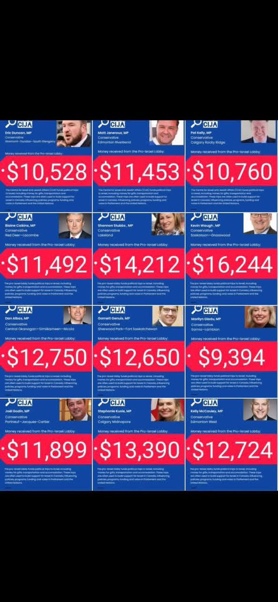 Adina Cerchez tweet media