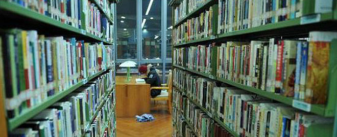 Mariana El Khouri tweet media