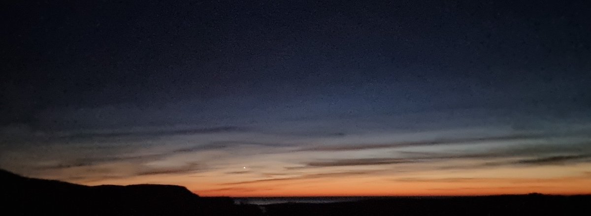 Harris Holiday tweet media