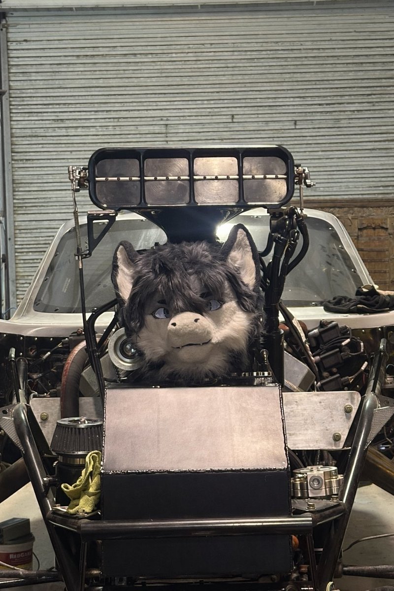 TrevyrDergo 🔜 TFF tweet media