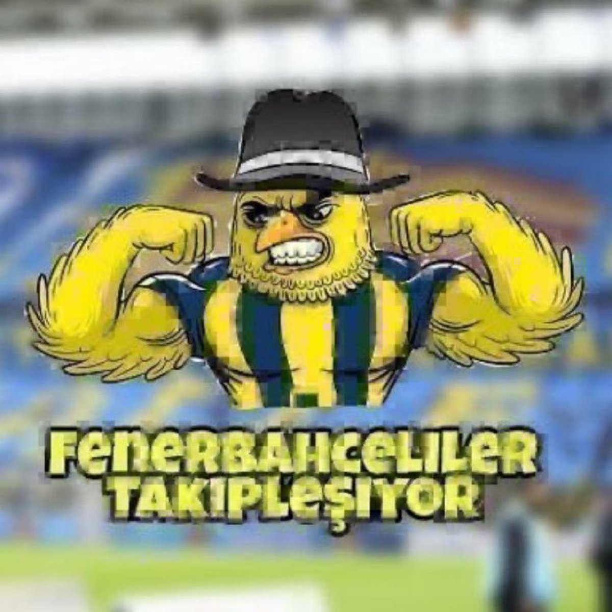 Fenerbahçe Sevdalısı tweet media