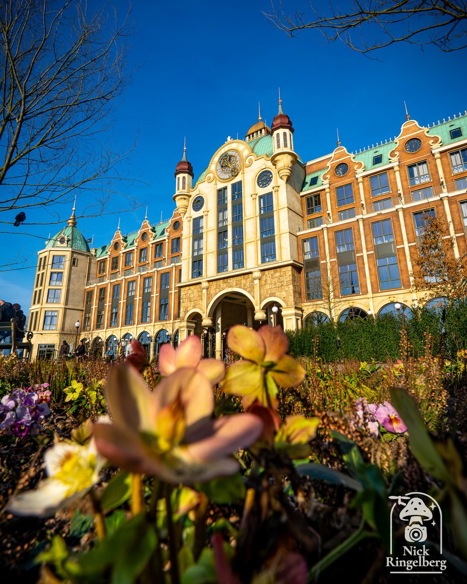 Nick Ringelberg tweet media