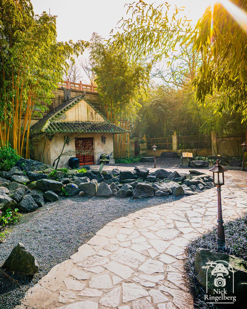 Nick Ringelberg tweet media