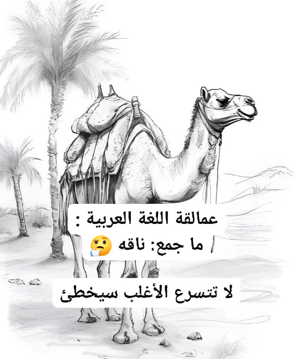 عشوائيات tweet media