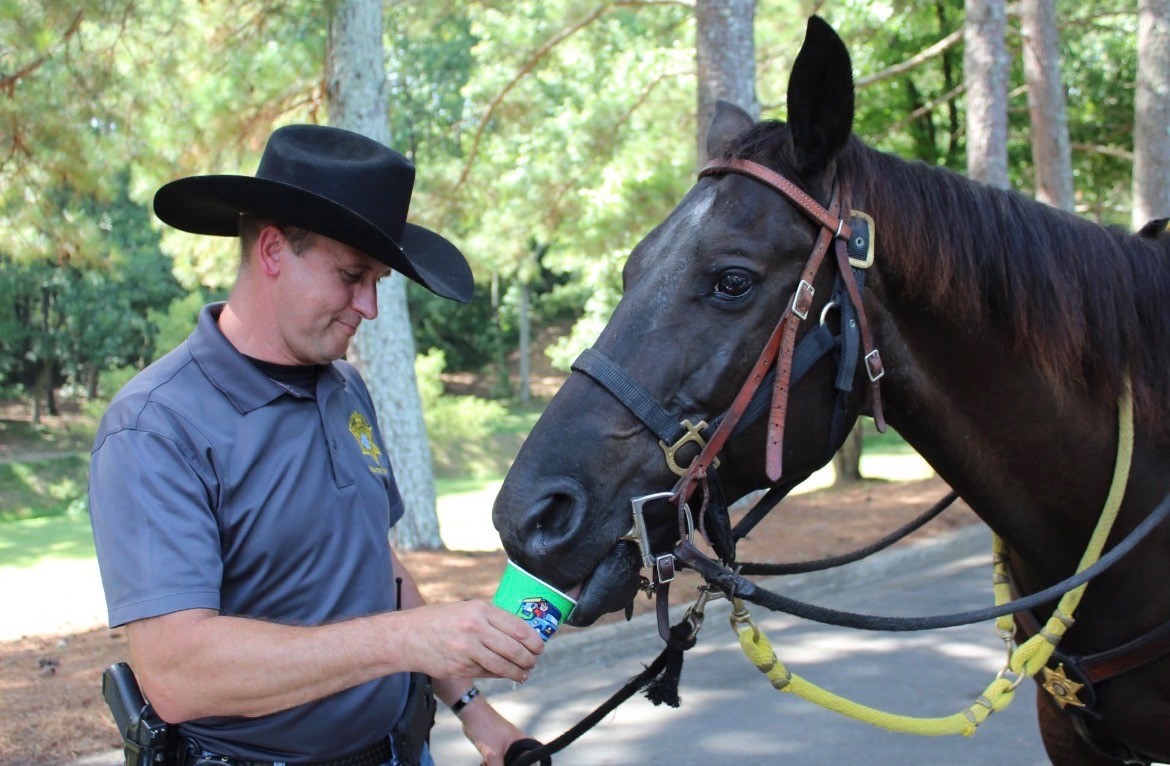 York County Sheriff tweet media