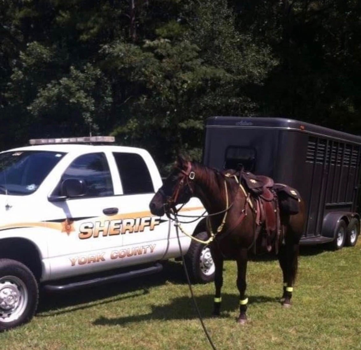 York County Sheriff tweet media