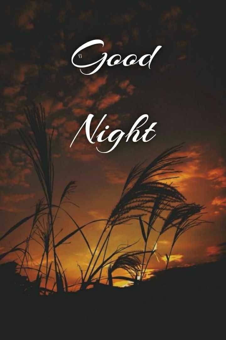 KaiTalks tweet media