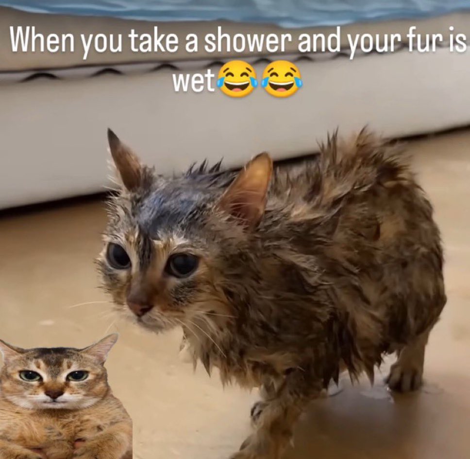 sloush ☆ tweet media