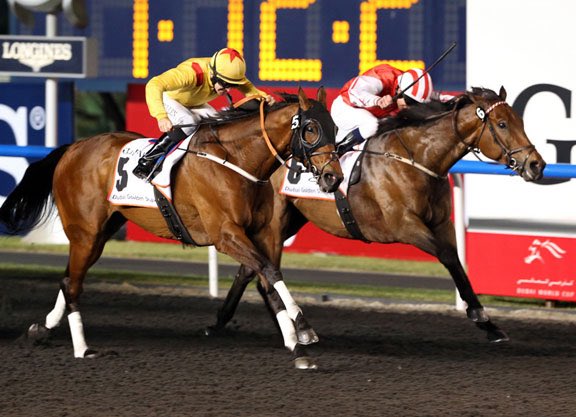 Amy Lynam tweet media