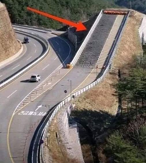 Elizabeth❣️ tweet media