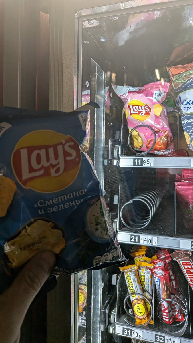 Лосось в кустах черники tweet media