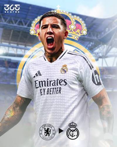 Tom's Dinosaur Opinion tweet media