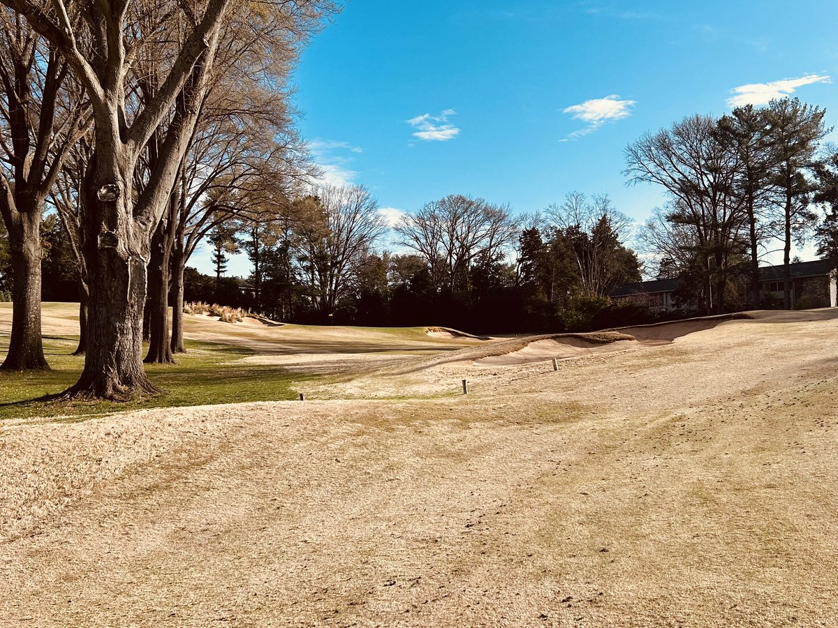 Mitch Mullen tweet media