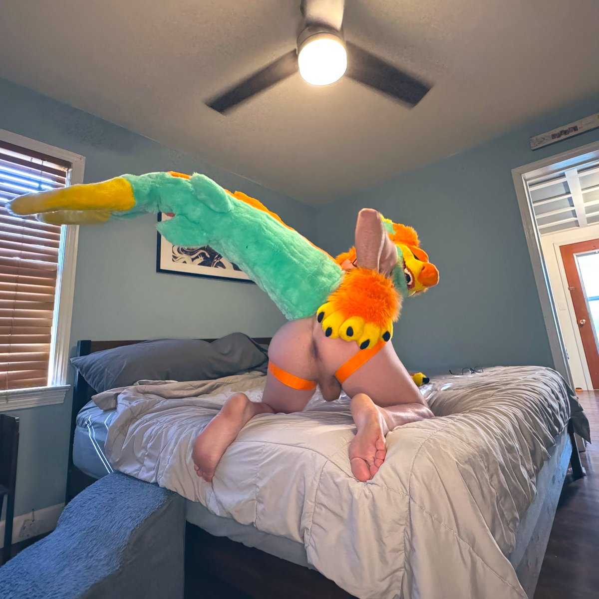 Your Pal! Rhodesy!! 🔜 LVFC tweet media