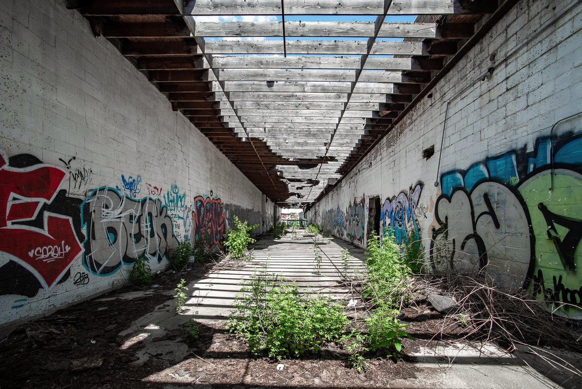 Mr. P. Explores tweet media