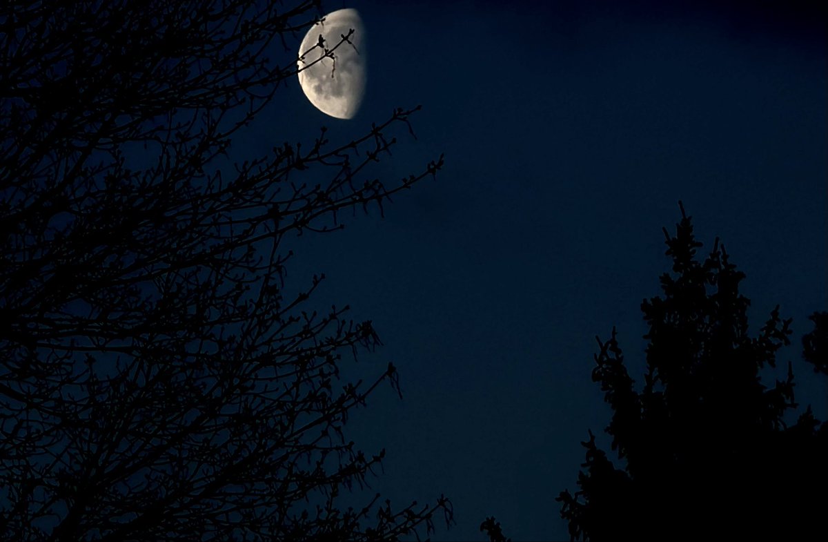 GetOutside🌳⛰️ tweet media