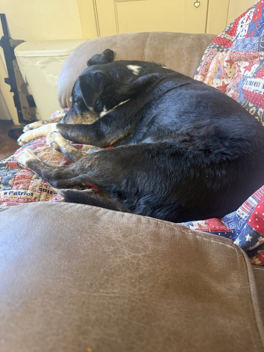 Just T.J. the Army Vet tweet media