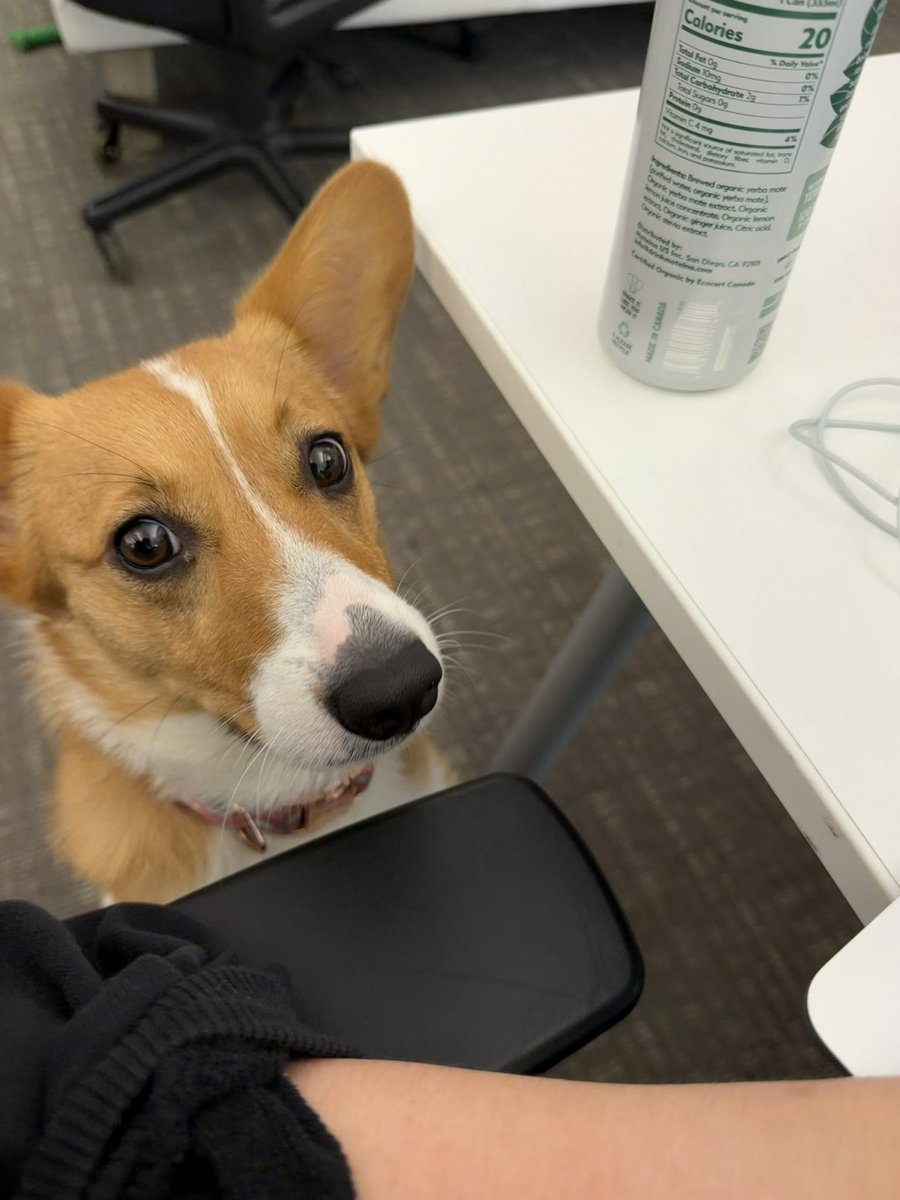 Brooke LeBlanc tweet media