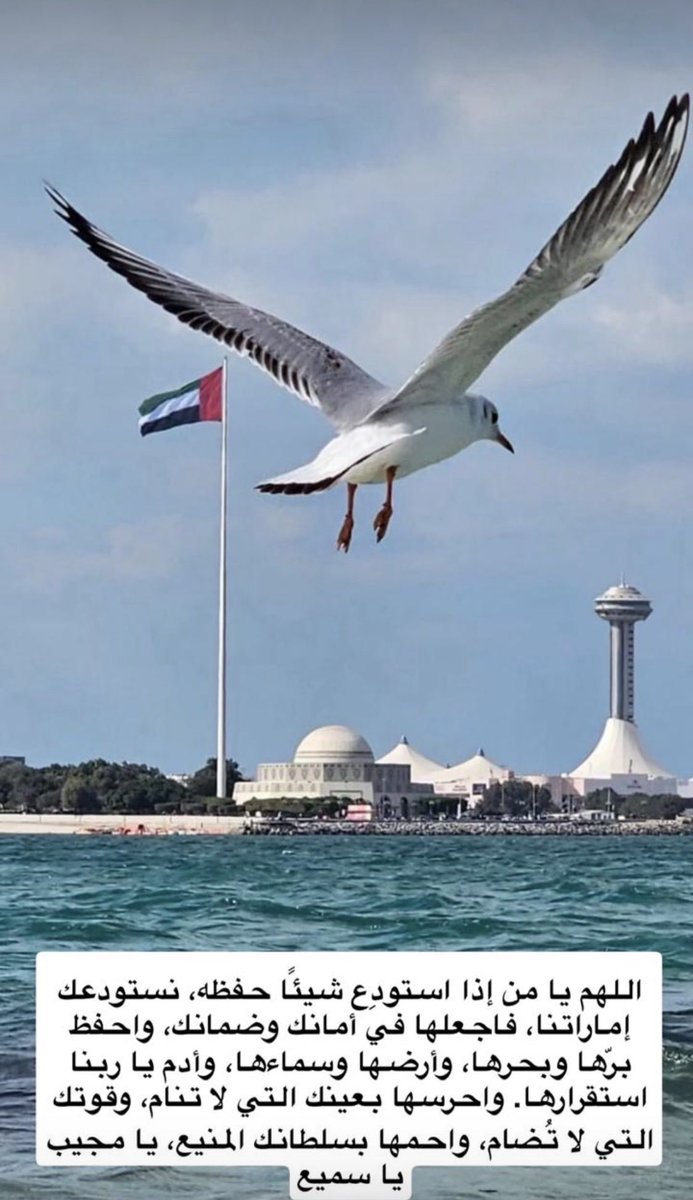 om_falah1's tweet photo. اللهم استودعك وطني،
استودعك ليله ونهاره،
امنه واستقراره، بره وسمائه، جنده ورجاله، وكل شبر في رماله،
اللّهم احفظ وطني وسائر بلاد المسلمين يارب 💜🇦🇪❤️
#اللهم_احفظ_الإمارات 
#الامارات_خط_احمر 
#هنا_الامارات #عيال_زايد https://t.co/9nj2kks57f
