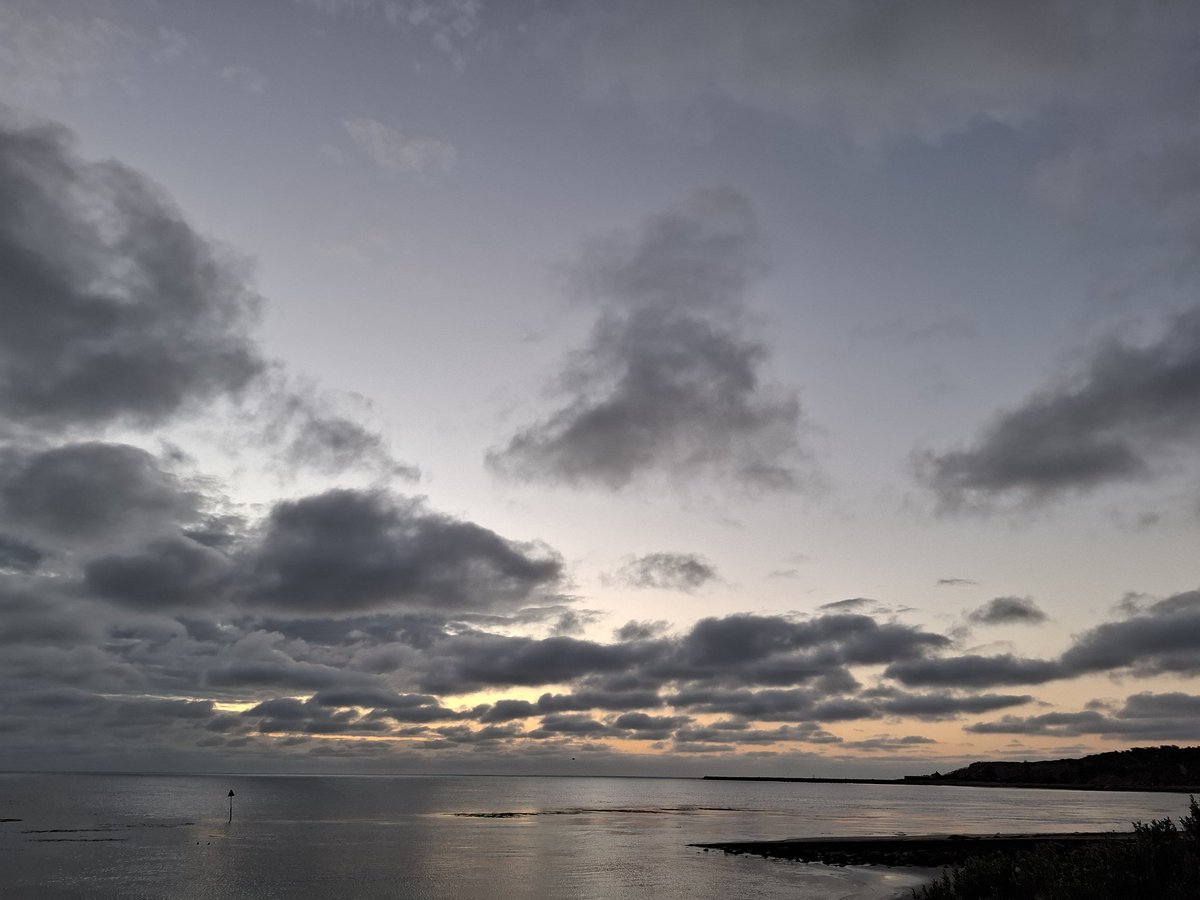 soporific tweet media