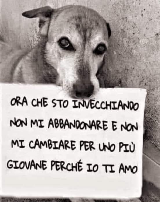 Patrizia💙 tweet media