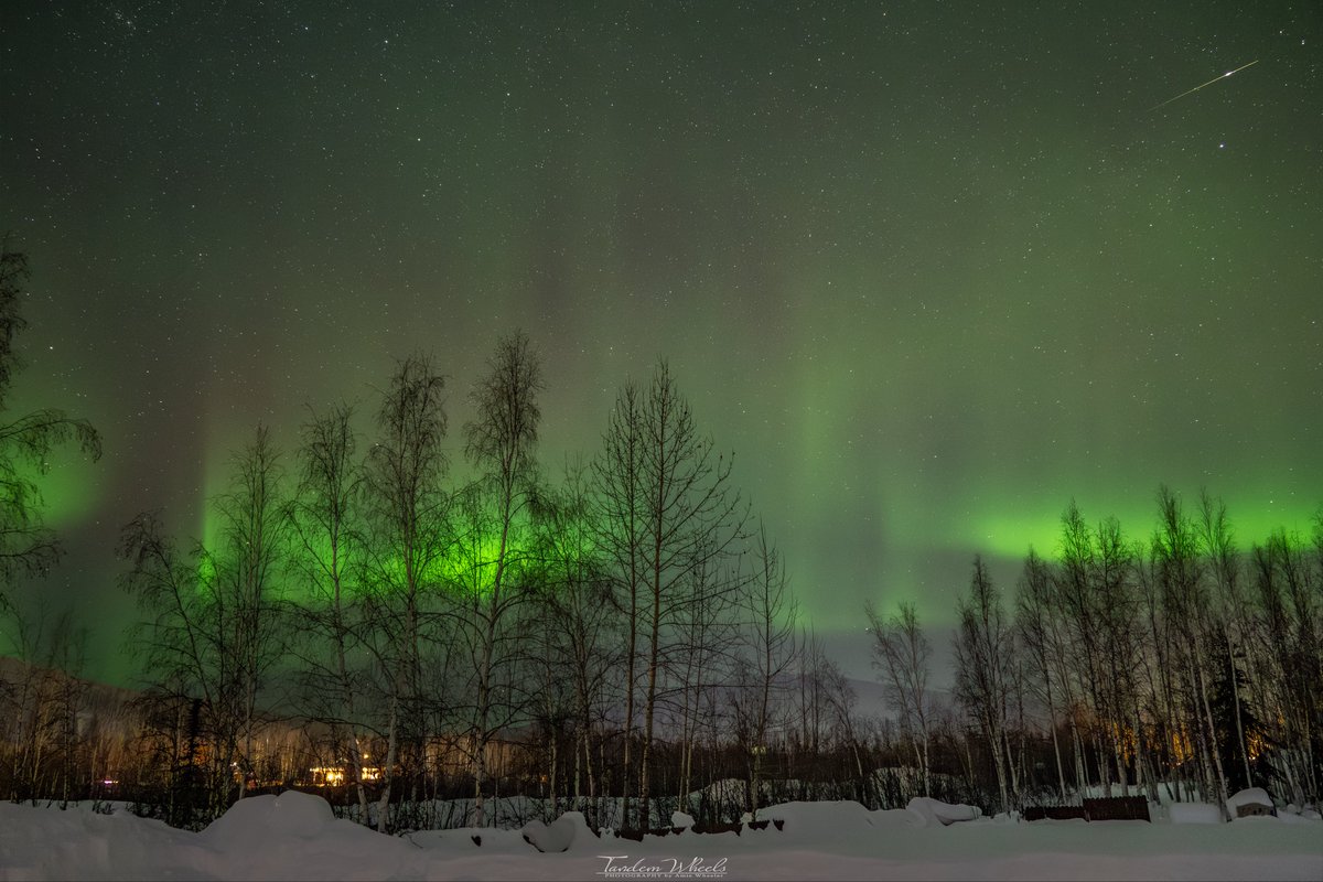 Amie Wheeler tweet media