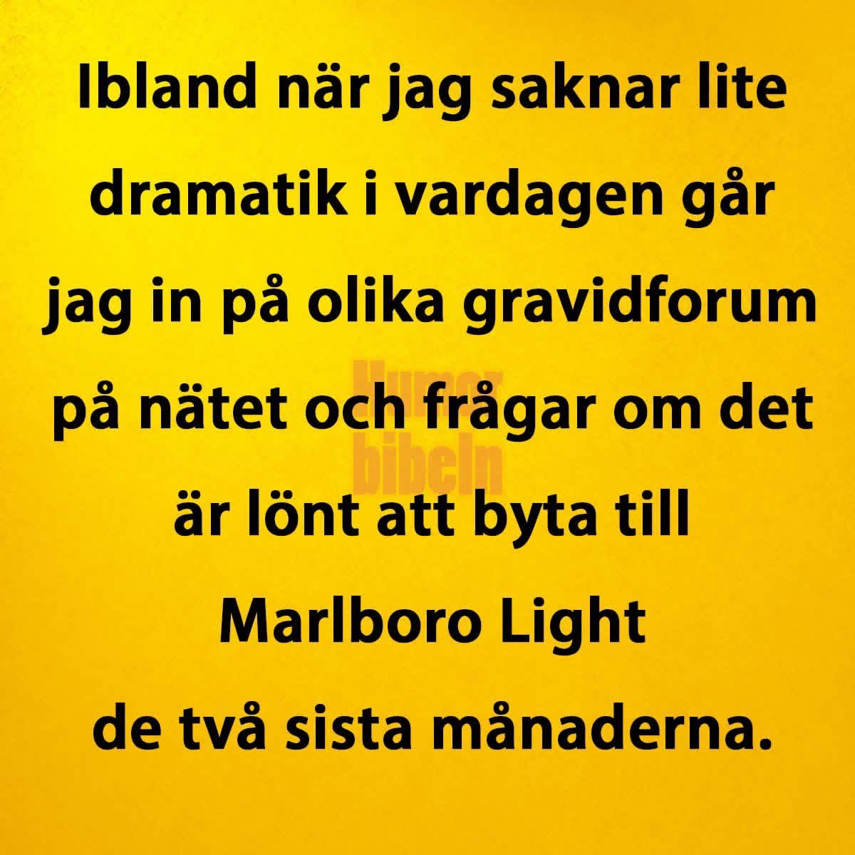 Glagrisen tweet media