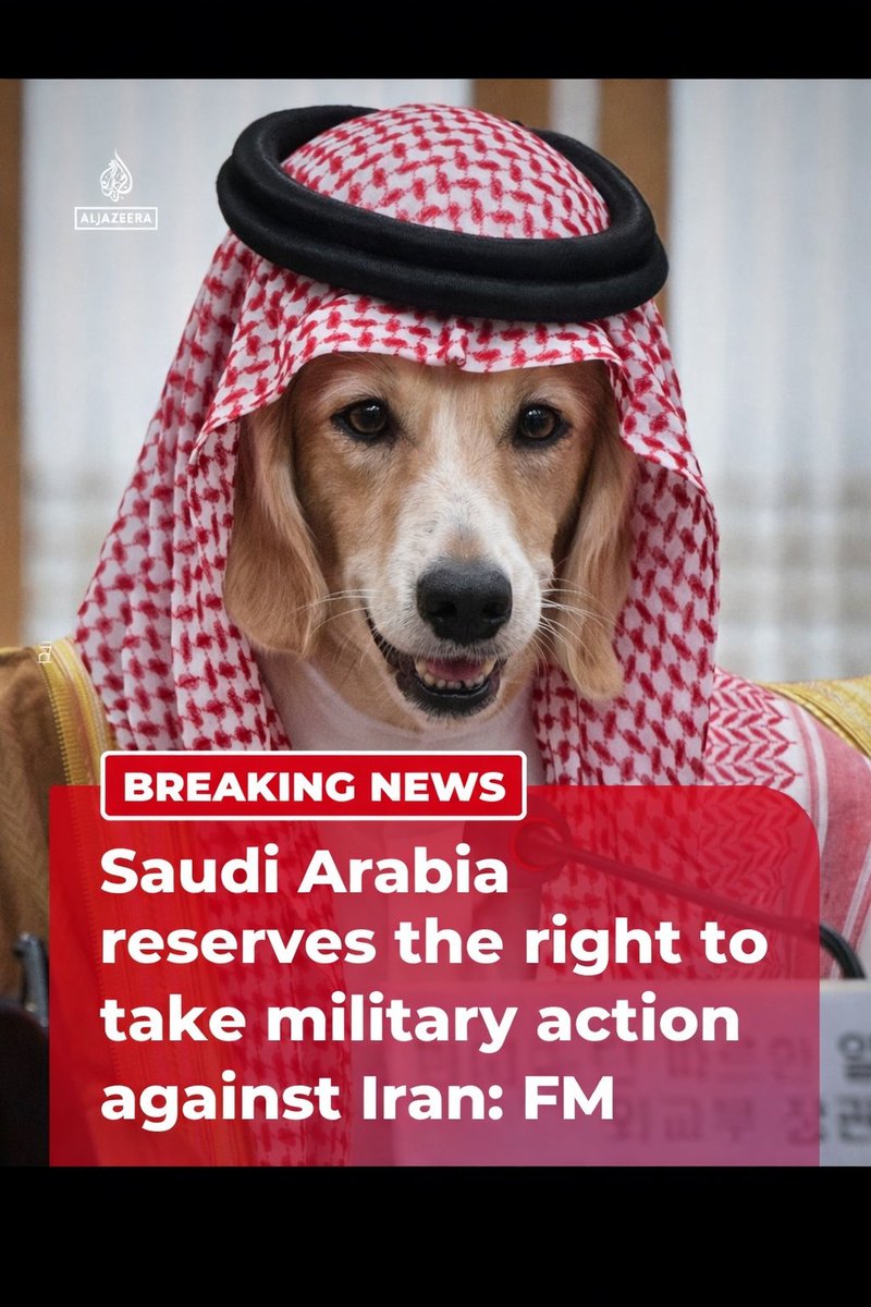 SporttyStuff🥊 tweet media