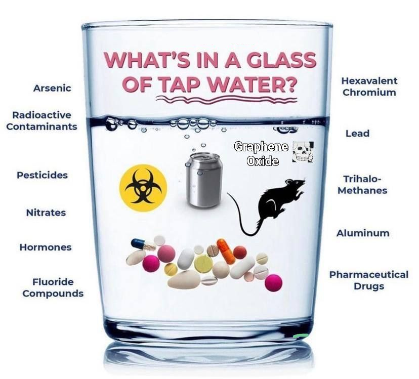 rabbitholebot tweet media