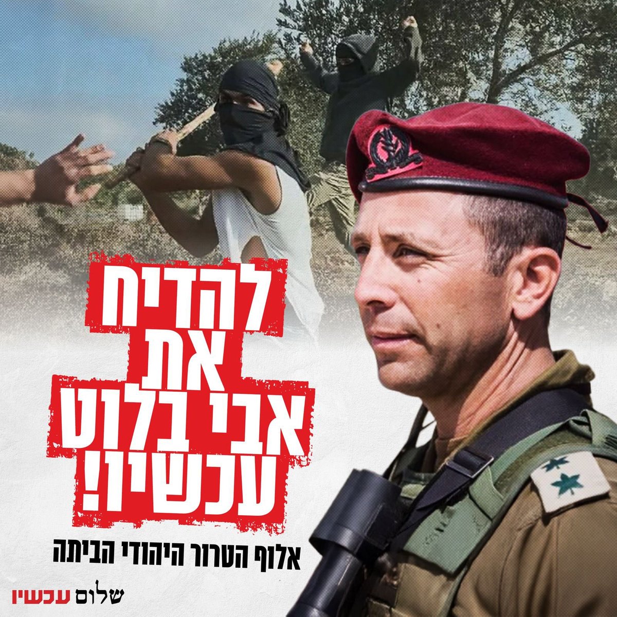 שלום עכשיו tweet media