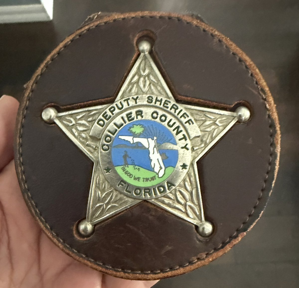 Tamara 🐊🌻 tweet media